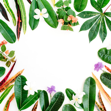 topical exotic colored leaf frame on white background. flat lay, top viewの写真素材
