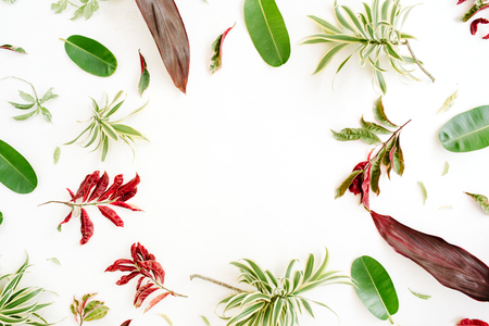red and green petals and leaf frame on white background. flat lay.の写真素材