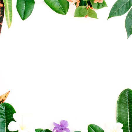 topical exotic colored leaf frame on white background. flat lay, top viewの写真素材