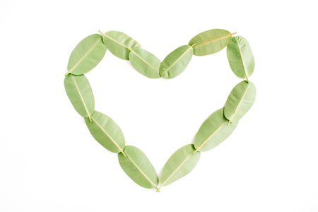 heart symbol made of green leaf on white background. flat lay, top viewの写真素材