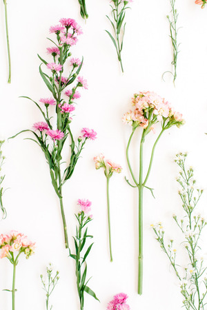 Floral pattern with pink and beige wildflowers, green leaves, branches on white background. Flat...