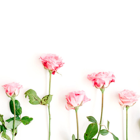 Pink roses on white background. Flat lay, top view. Valentine's backgroundの写真素材