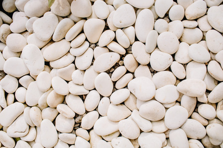 Neutral pattern of pale beige stones. Flat lay, top viewの写真素材