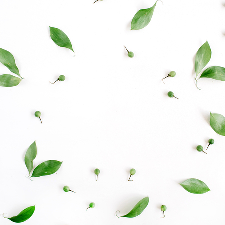 Frame wreath of green leaves on white background, Flat lay, top view. Flower background.の写真素材