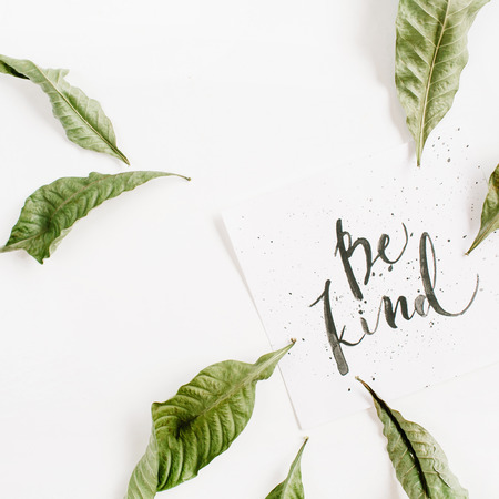Minimalistic composition with words Be Kind written in calligraphic style on paper with leaf frame on white background. Flat lay, top viewの写真素材