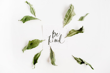 Minimalistic composition with words Be Kind written in calligraphic style on paper with leaf frame on white background. Flat lay, top viewの写真素材