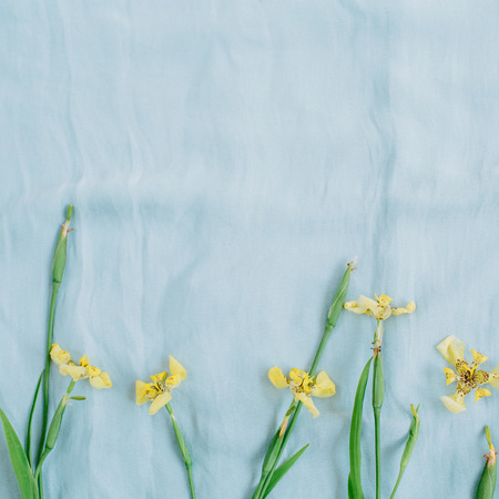 Floral composition made of yellow flowers and green leaves on pale blue textile background. Flat...