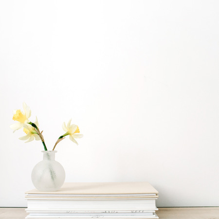 Yellow narcissus flower in flowerpot on photo albums in front of white background.の写真素材