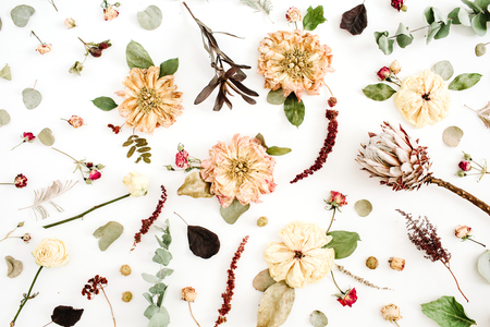 Dried flowers background: beige peony, protea, eucalyptus branches, roses on white background. Flat lay, top view. Floral patternの写真素材
