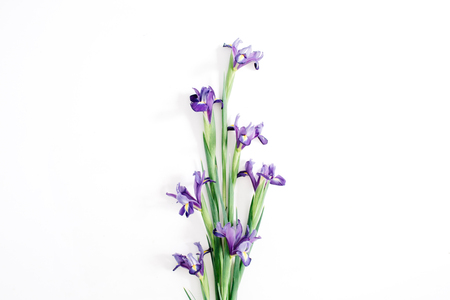 Beautiful purple iris flowers bouquet on white background. Flat lay, top viewの写真素材