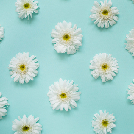 Pattern of white chamomile daisy flowers on blue background. Flat lay, top view. Floral background. Pattern of flower buds.の写真素材
