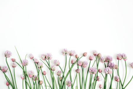Floral pattern with wild flower, green leaves, branches on white background. Flat lay, top view. Valentine's backgroundの写真素材