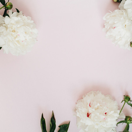 Frame of white peony flowers, branches, leaves and petals with space for text on pink background. Flat lay, top view. Peony flower texture.の写真素材