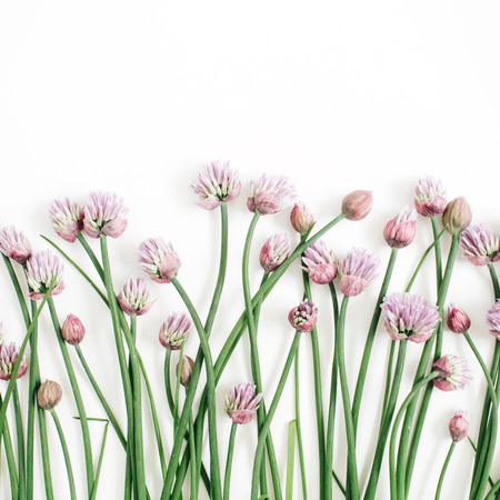 Floral pattern with wild flower, green leaves, branches on white background. Flat lay, top view. Valentine's backgroundの写真素材