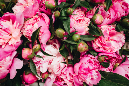Close-up of pink peony flowers. Valentine's day or Mother's day background. Flat lay, top view flower texture.の写真素材