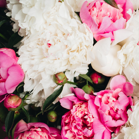 Close-up of white and pink peony flowers. Valentine's day or Mother's day background. Flat lay, top view flower texture.の写真素材