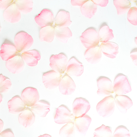 Pink rose petals pattern on white background. Flat lay, top view. Valentine's background. Pattern of flowers.の写真素材