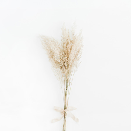 Pale dry branch bouquet with beige ribbon bow on white background. Flat lay, top view.の写真素材