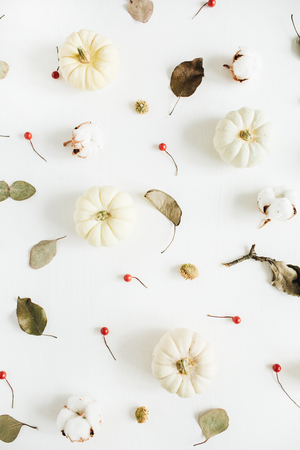White pumpkins, red berries and eucalyptus branches. Flat lay, top view. Christmas background.の写真素材