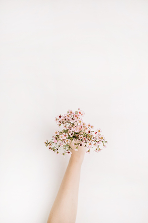 Woman hand holding wild flowers. Flat lay, top view floral background.の写真素材