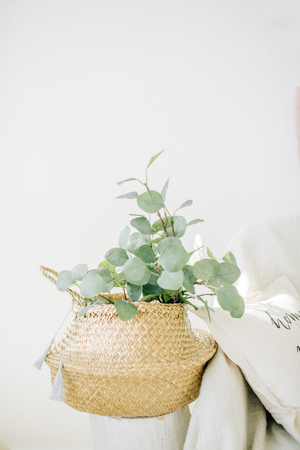 Eucalyptus branches in straw basket. Interior concept.の写真素材