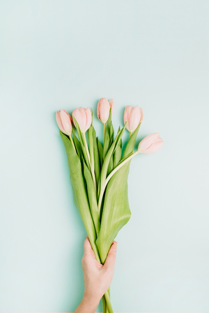 Woman hand hold pink tulip flowers on blue background. Flat lay, top view festive spring flower concept.の写真素材