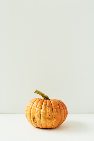 Pumpkin on white background. Fall autumn halloween concept.の写真素材
