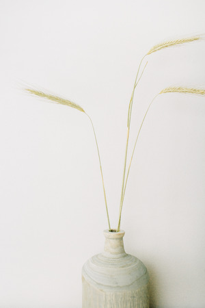Rye ears in vase on white background. Minimal interior decor concept.の写真素材