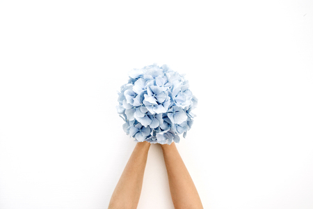 Woman hands hold blue hydrangea flower bouquet on white background. Flat lay, top view floral concept.の写真素材