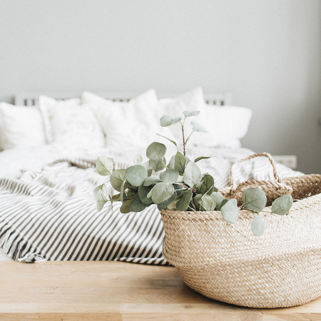 Modern apartment interior design. Bed and eucalyptus branch.の写真素材