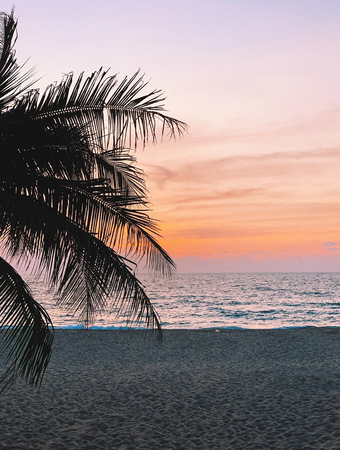 Tropical palm, beach and sea at sunset. Vacation, travel background.