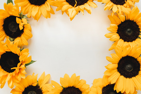 Wreath frame of sunflowers on white background. Flat lay, top view summer floral mockup template.の写真素材
