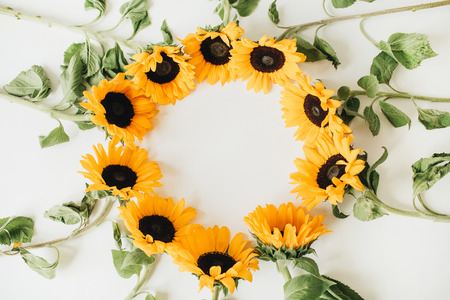 Wreath frame made of sunflowers with copy space on white background. Flat lay, top view summer floral mock up template.の写真素材