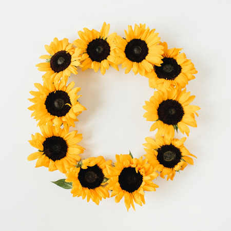 Wreath frame made of sunflowers with copy space on white background. Flat lay, top view summer floral mock up template.の写真素材