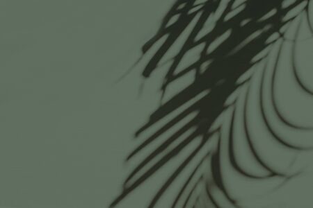 Neutral floral composition with tropical palm branch silhouette on pastel green background. Flat...