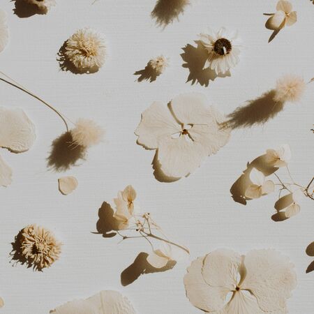Dry flower petals pattern on dusty grey background. Flat lay, top view minimal neutral floral composition.の写真素材