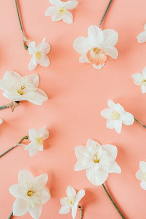 Round wreath frame copy space template. Narcissus flowers background. Flat lay, top view minimal floral composition.の写真素材