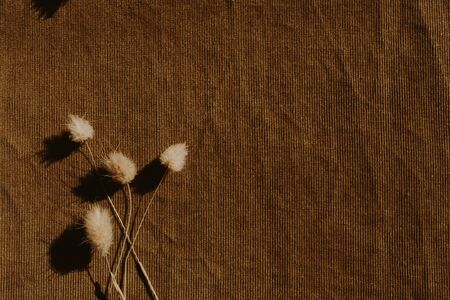 Dry flowers on dark brown background. Flat lay, top view minimal neutral floral composition.の写真素材