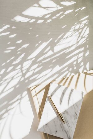 Home office workspace background with notebook on white background with plant shadow. Flat lay, top...