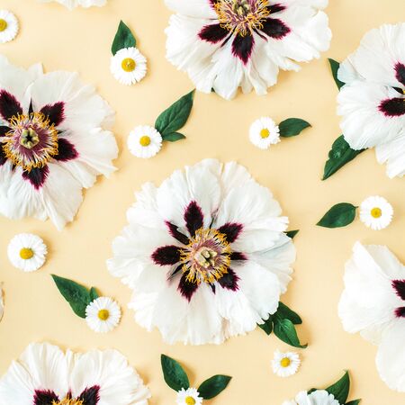 White peonies and chamomile flowers pattern on yellow background. Flat lay, top view minimal floral...