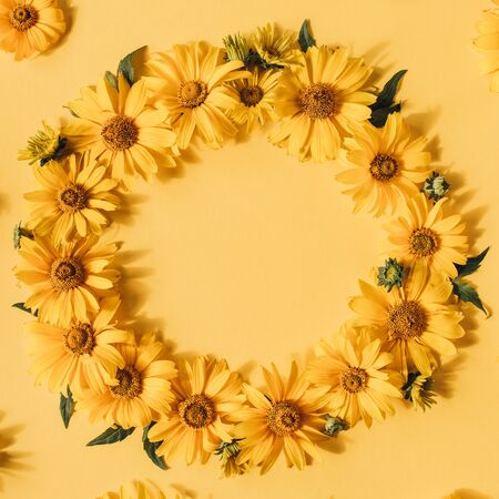 Round frame border of yellow daisy flowers on yellow background. Mockup blank copy space. Flat lay, top view floral composition.の写真素材