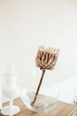 Tropical exotic protea flower in glass vase on wooden table. Beautiful stylish bright modern interior design concept.の写真素材