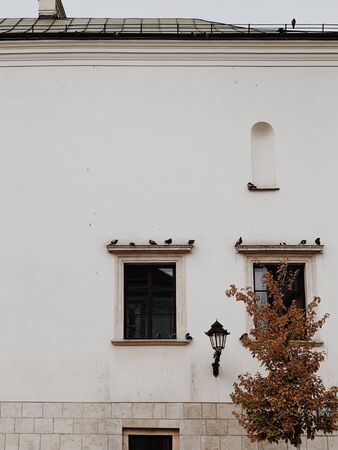 Old white building with two windows with birds and vintage lantern, tree with dry leaves. Autumn fall concept. Minimal background.の写真素材