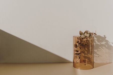 Interior decoration: eucalyptus branch in tan glass vase with sunlight shadows on the wallの写真素材