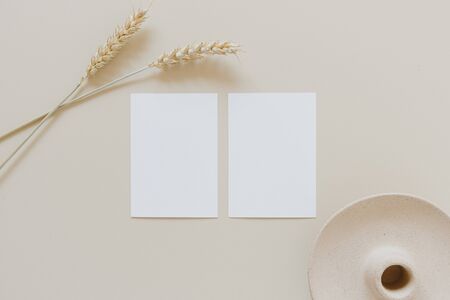 Blank paper cards with mockup copy space and wheat / rye stalks on beige background. Minimal...