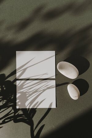 Blank paper sheet cards with empty copy space, dry flower branch, stones and sunlight shadows on...
