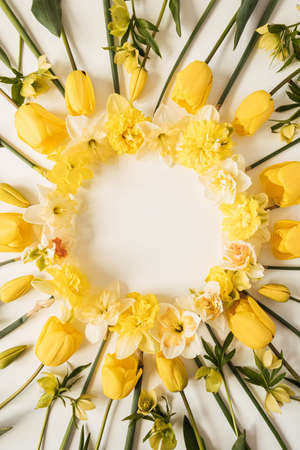 Round frame wreath with blank copy space made of yellow narcissus and tulip flowers on white background. Flat lay, top view floral festive holiday conceptの写真素材