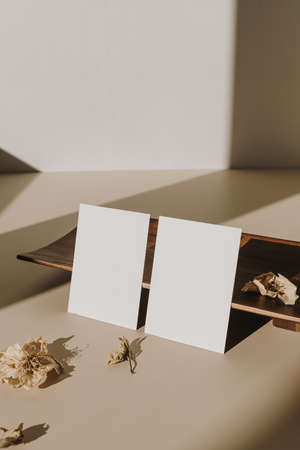 Blank paper sheet cards with empty copy space and wooden tray, dry flowers with sunlight shadows on white background. Business mock up template.の写真素材