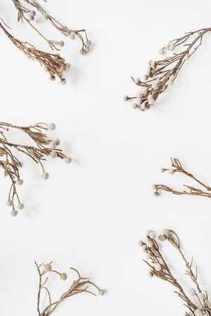 Frame with blank copy space made of beautiful dry plant branches on white background. Flat lay, top view.の写真素材