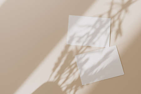 Blank paper sheet cards with mockup copy space with sunlight shadow on beige background. Minimal business brand template. Flat lay, top viewの写真素材